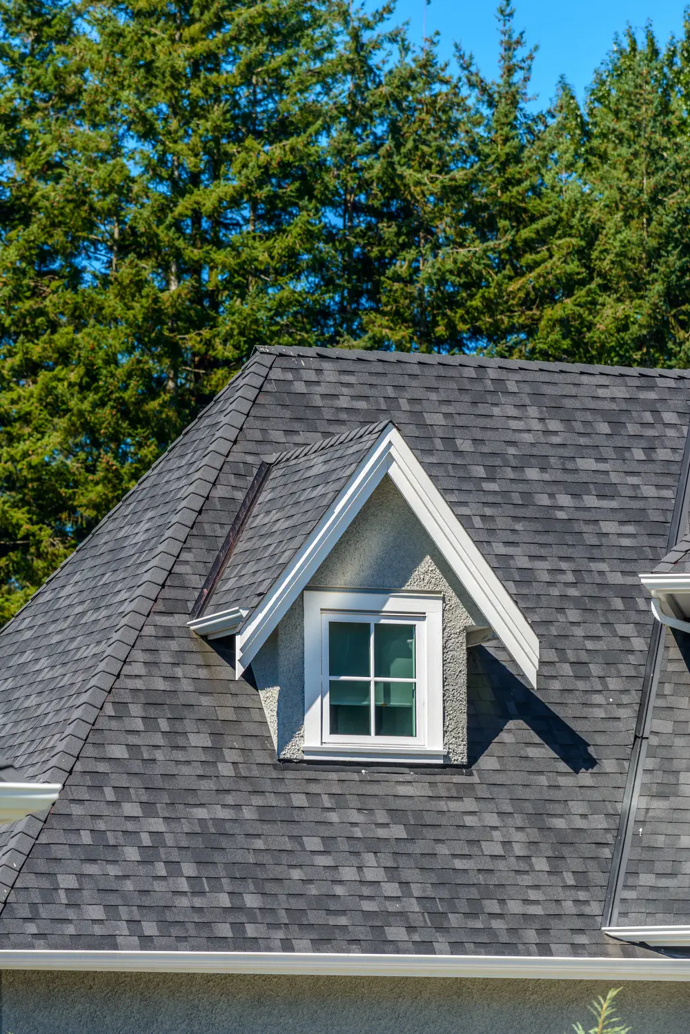 Roofing services